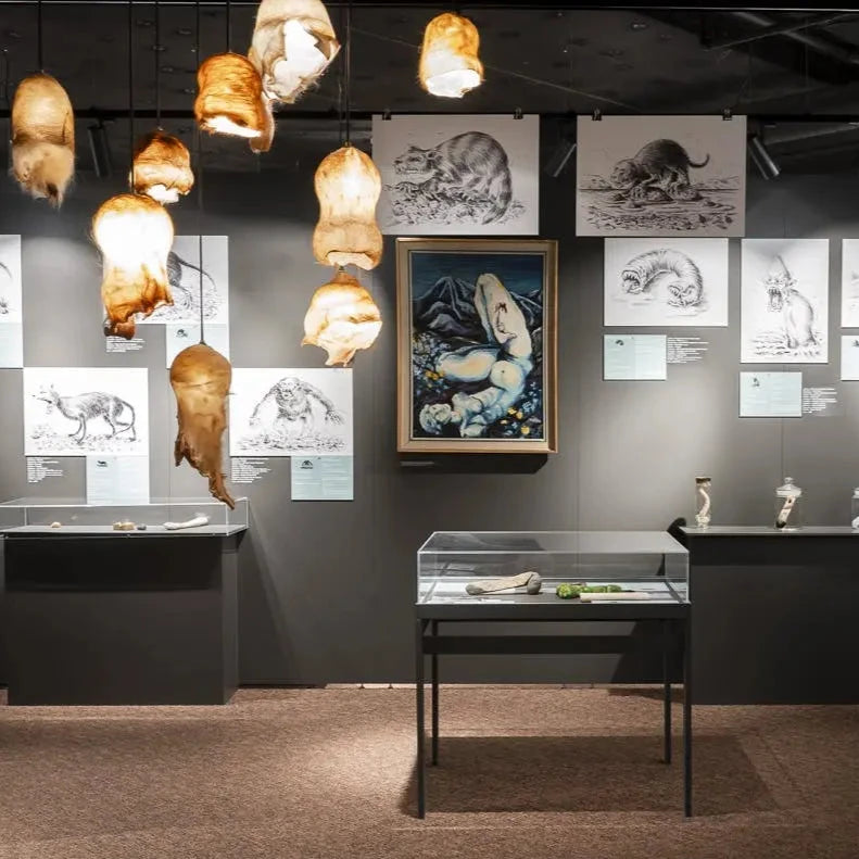 Exhibition in The Icelandic Phallological Museum