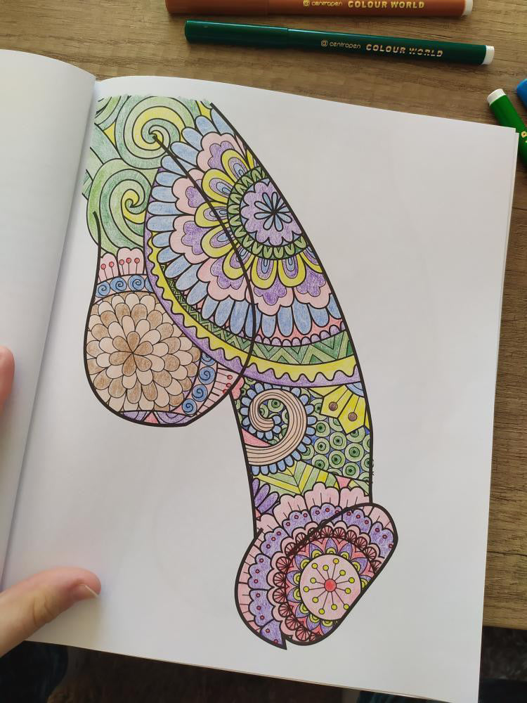 Penis målarbok